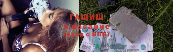прущие грибы Аркадак