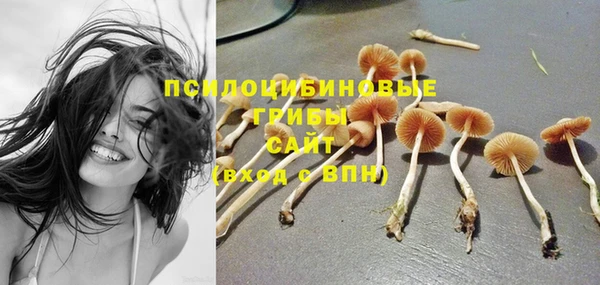 каннабис Алзамай